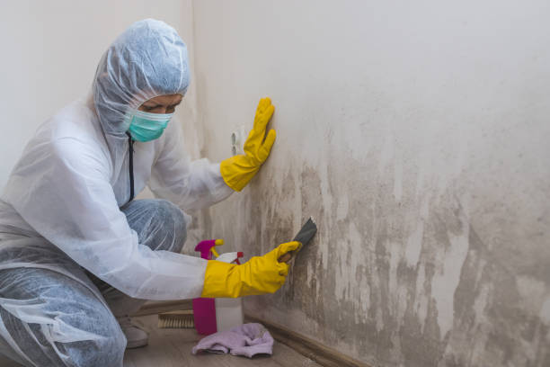 Mold Remediation for Historic Buildings