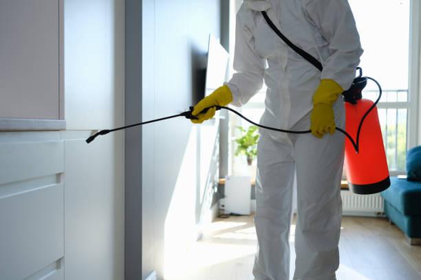 Reliable New Hampton, IA Mold Remediation Solutions